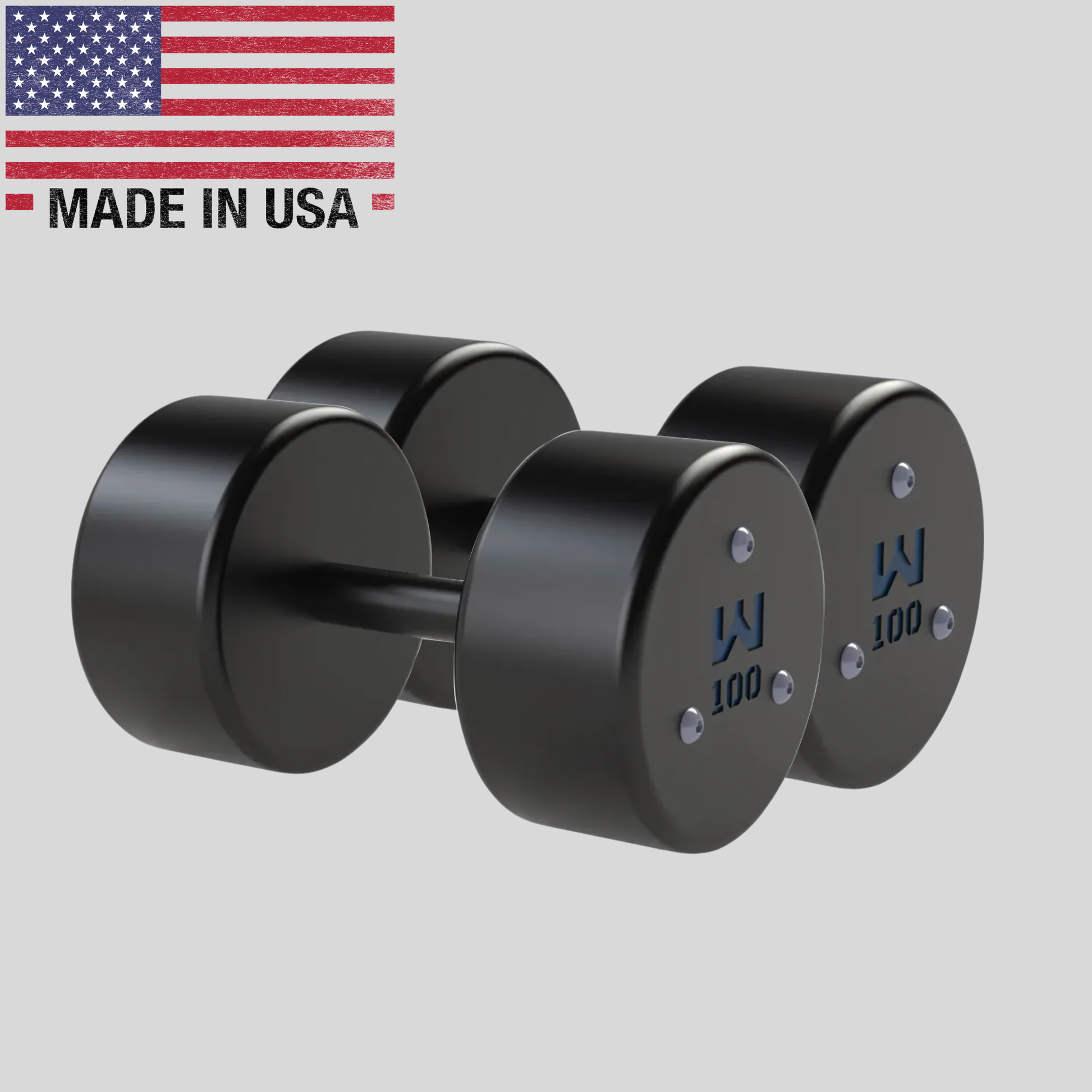 100lb Precision Steel Dumbbell Product Pic