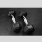 10lb Rubber Hex Dumbbells Product Pic