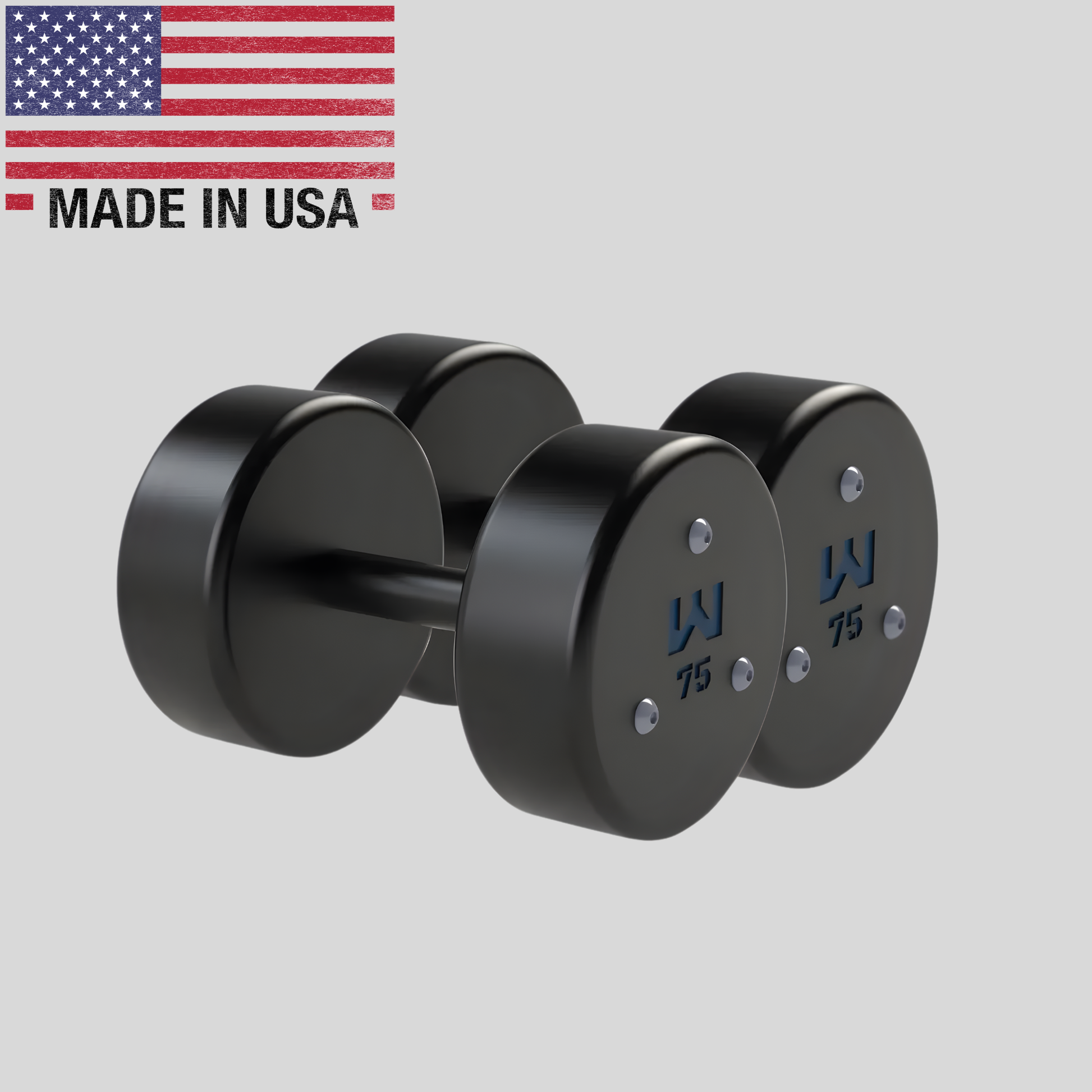 75lb Precision Steel Dumbbell Product Pic