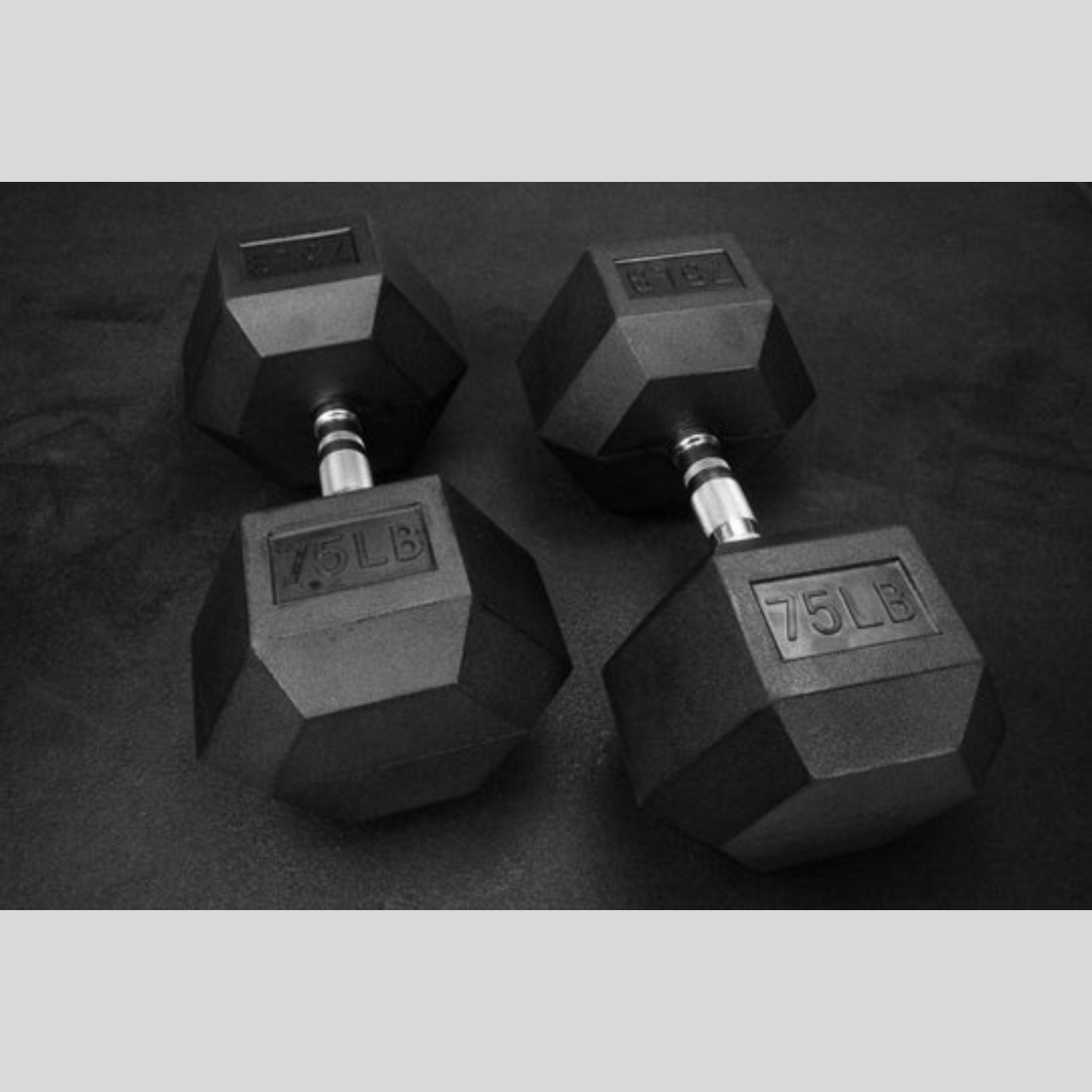 75lb Rubber Hex Dumbbells Product Pic