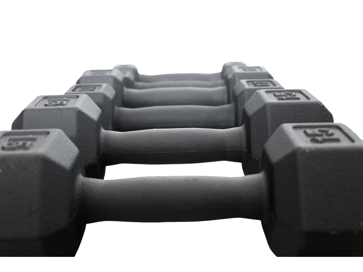 Elite Cast Iron Dumbbell Row Of Dumbbells On Product Page Picture