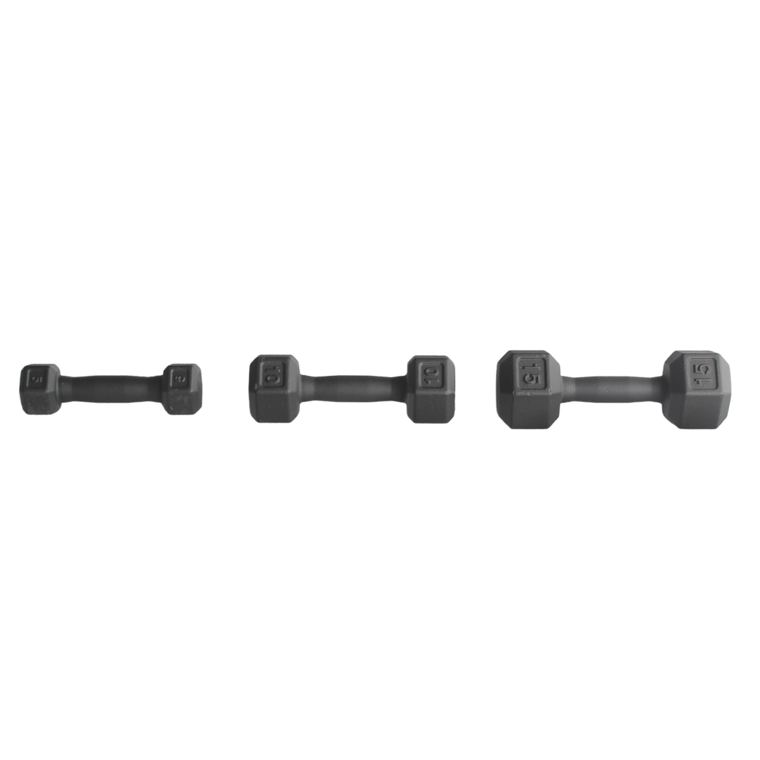 Elite Cast Iron Dumbbell Beginner's Set